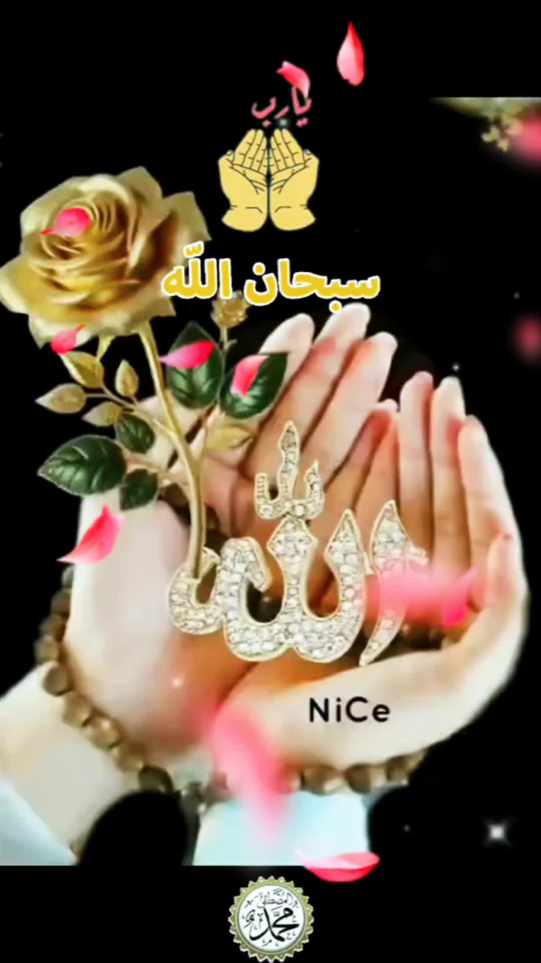 @amaan1949