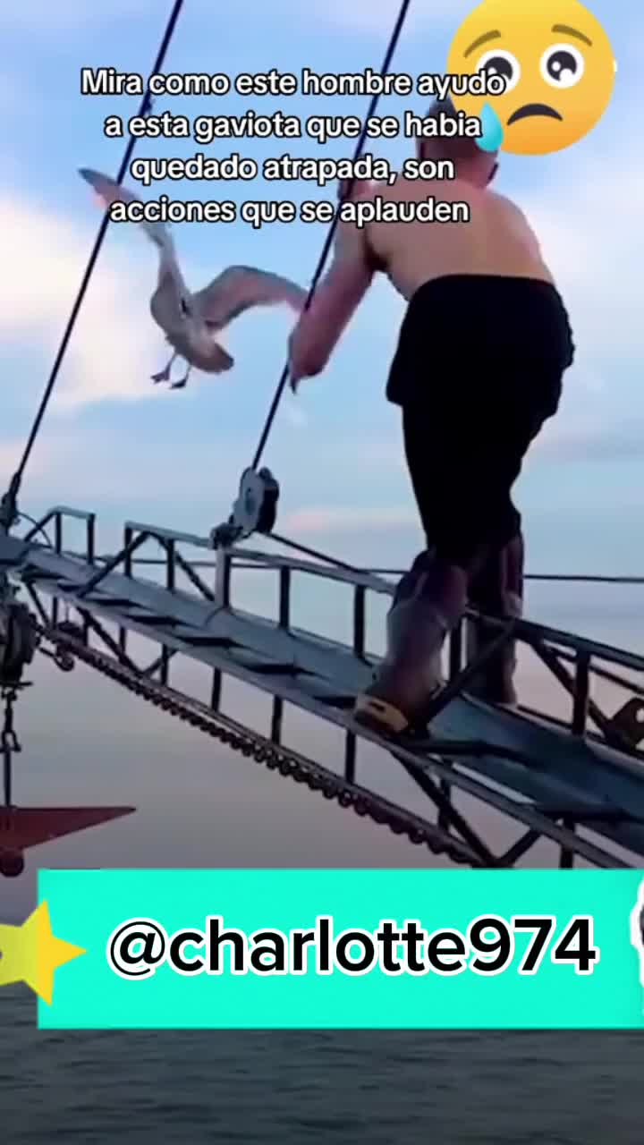 @Charlotte🐕🦺🐈🐕🦬🐐🐎🐄🐒
