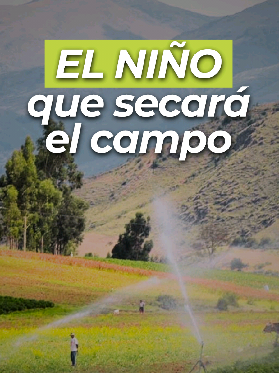 @REDES