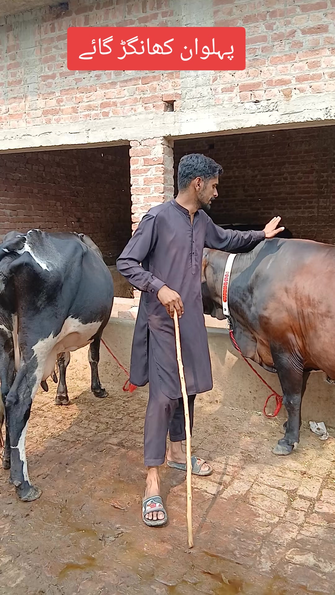 @Farming and Business Ideas