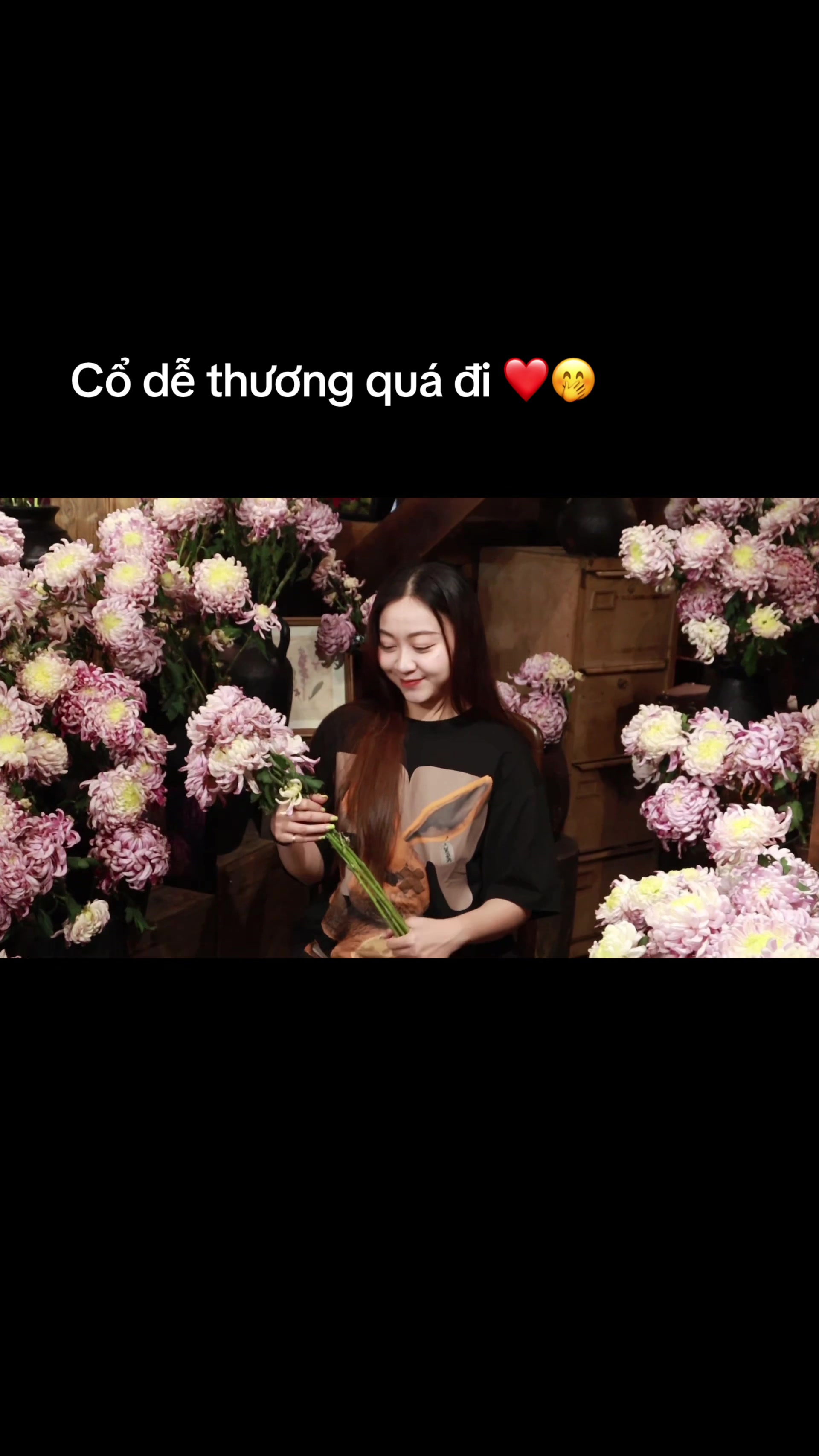 @Thương thích chụp ảnh 📸📸📸