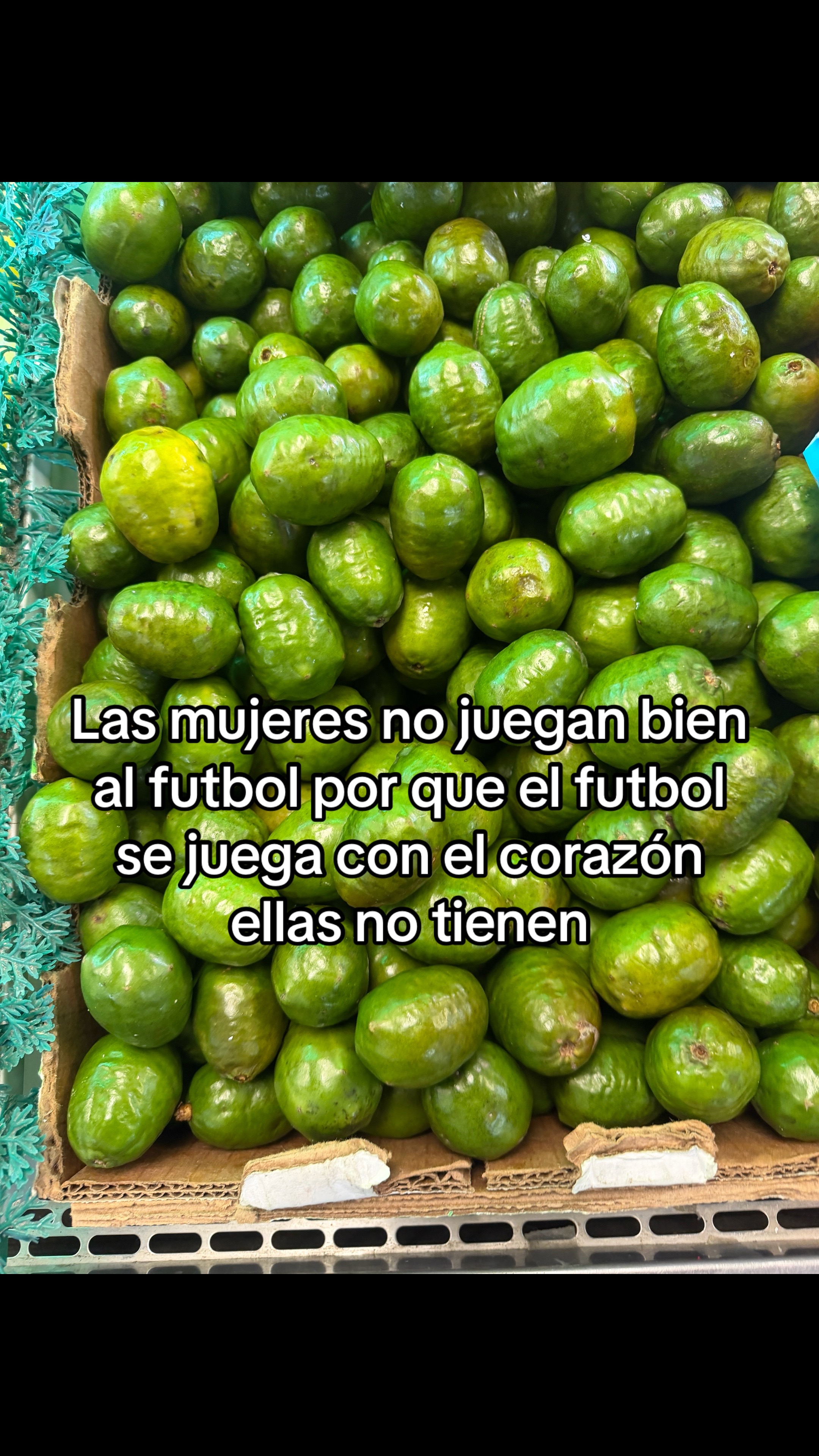 @el_paisa0405