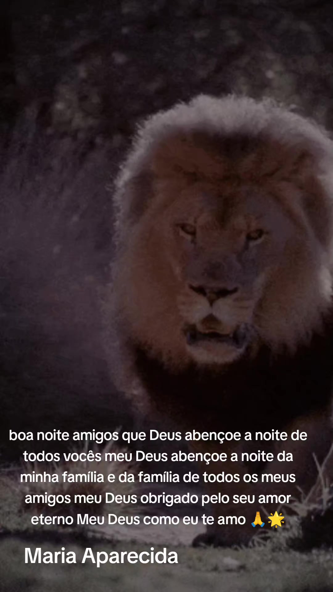 @Maria Aparecida