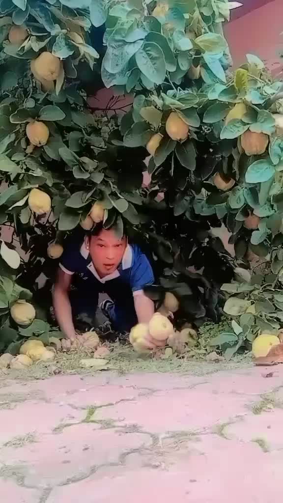 @꧁༻छबि©️दाजु༺꧂