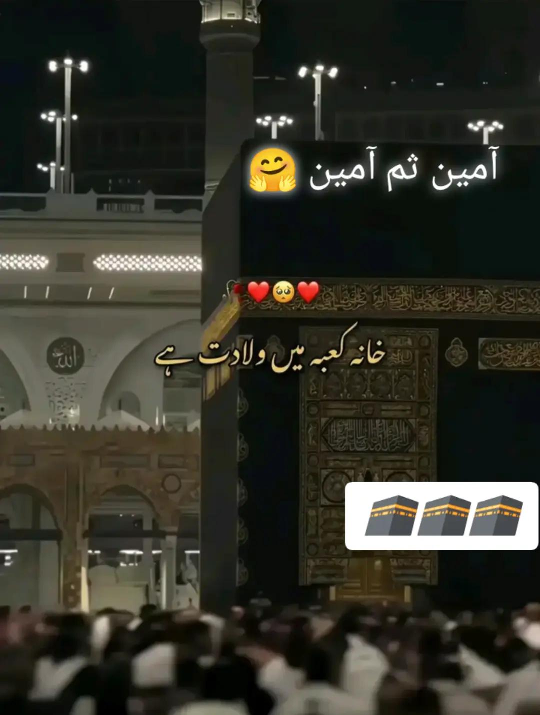 @Ali🌺ن ا دان 🌺لڑکا🌺Ali