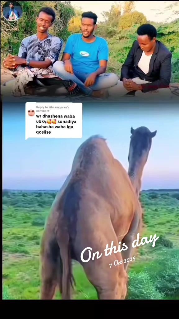 @CIISE GALMUDUGTV🇩🇯JAXAF.JXAF