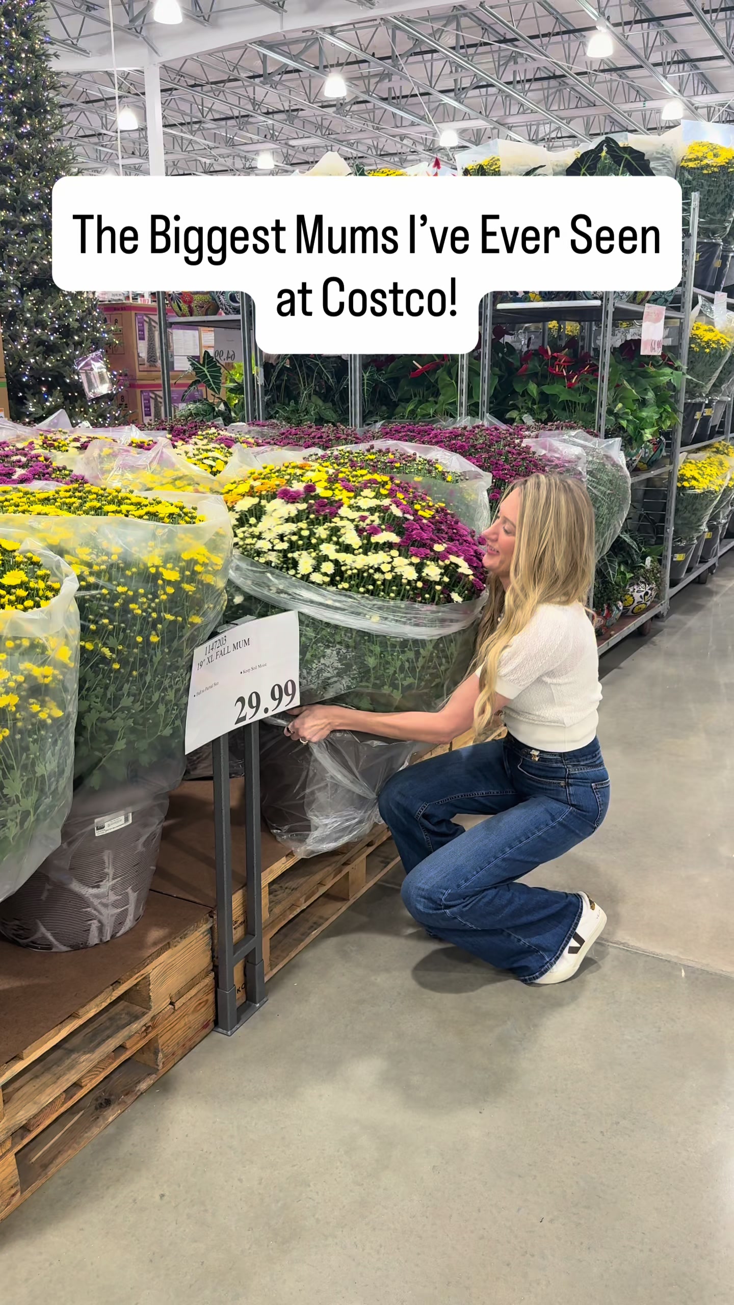@CostcoHotFinds