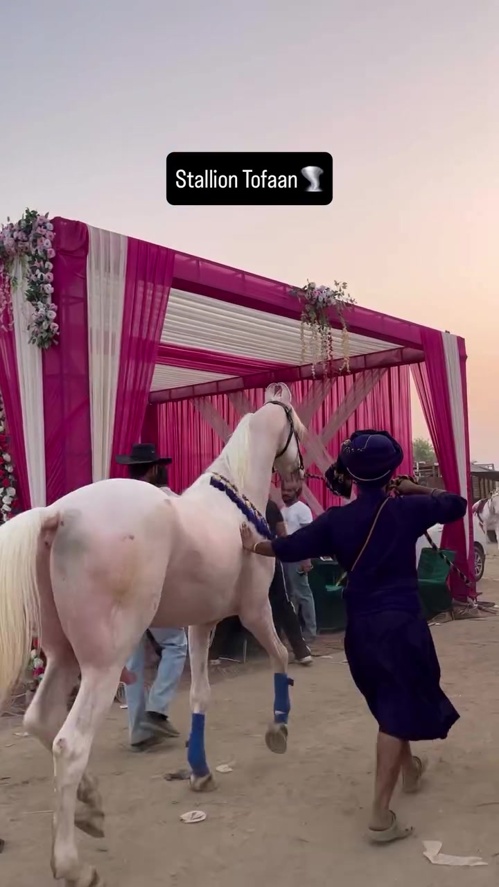 @💐🌾راوی الہ 🌾🪷