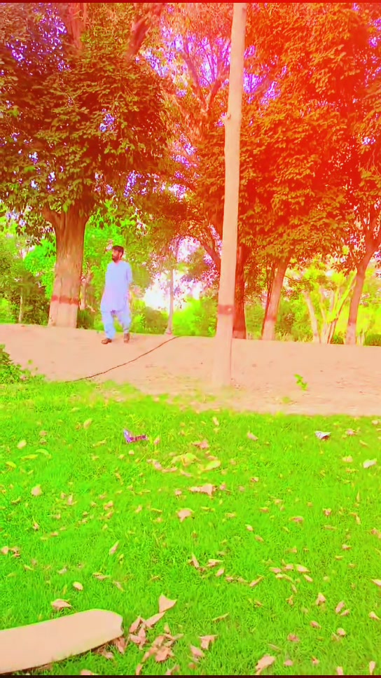 @Bashrat Bhatti 752