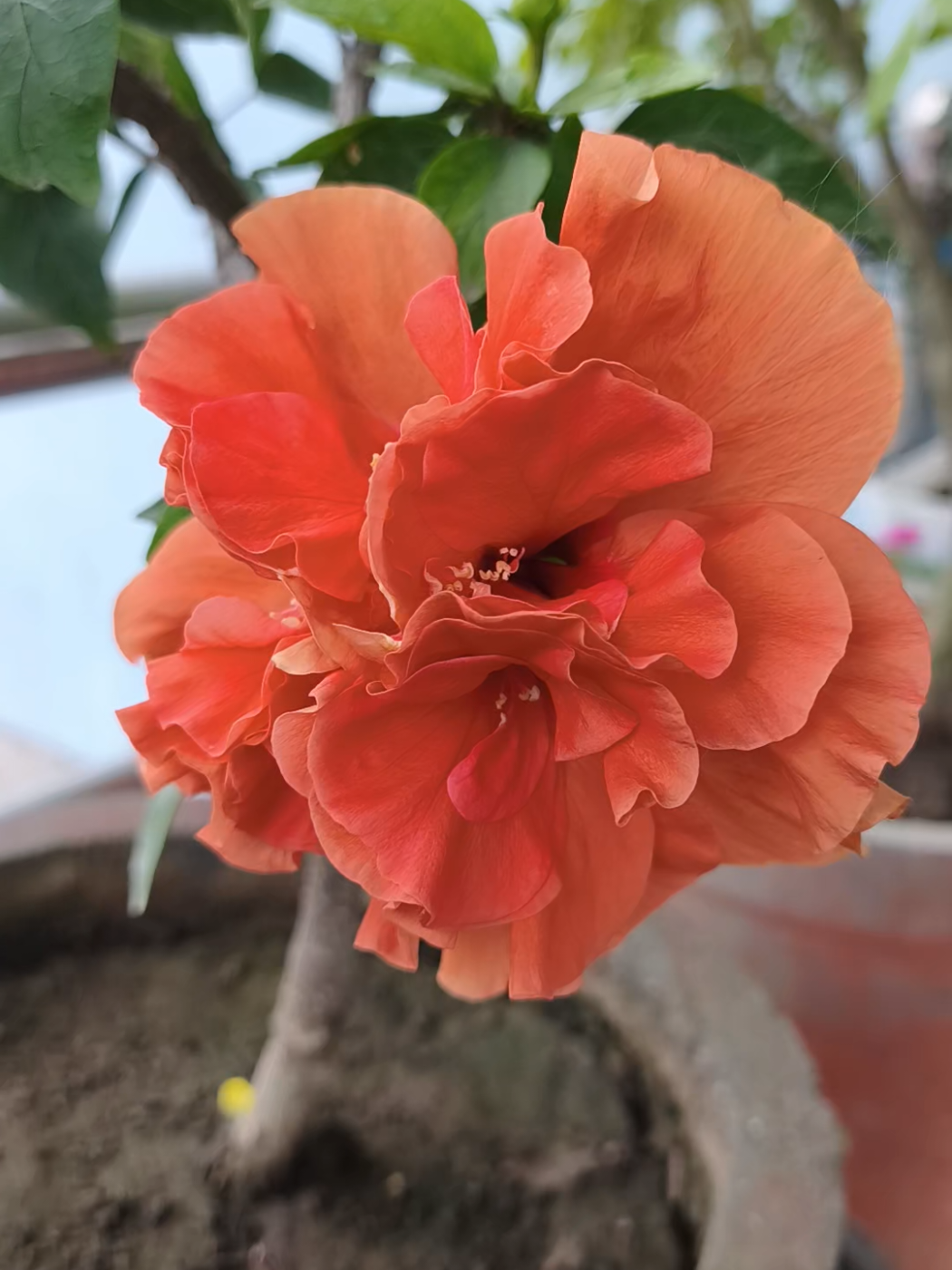 @Rita Pradip Rauniyar