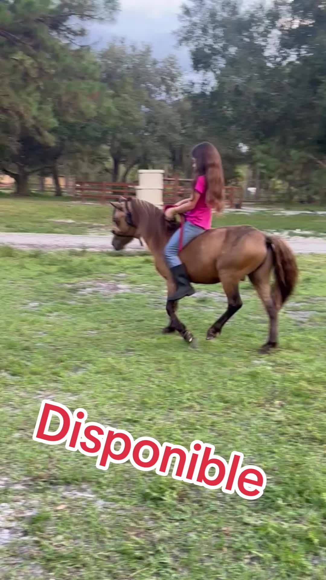 @Danny
