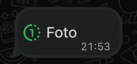 @Brunna Pivotto