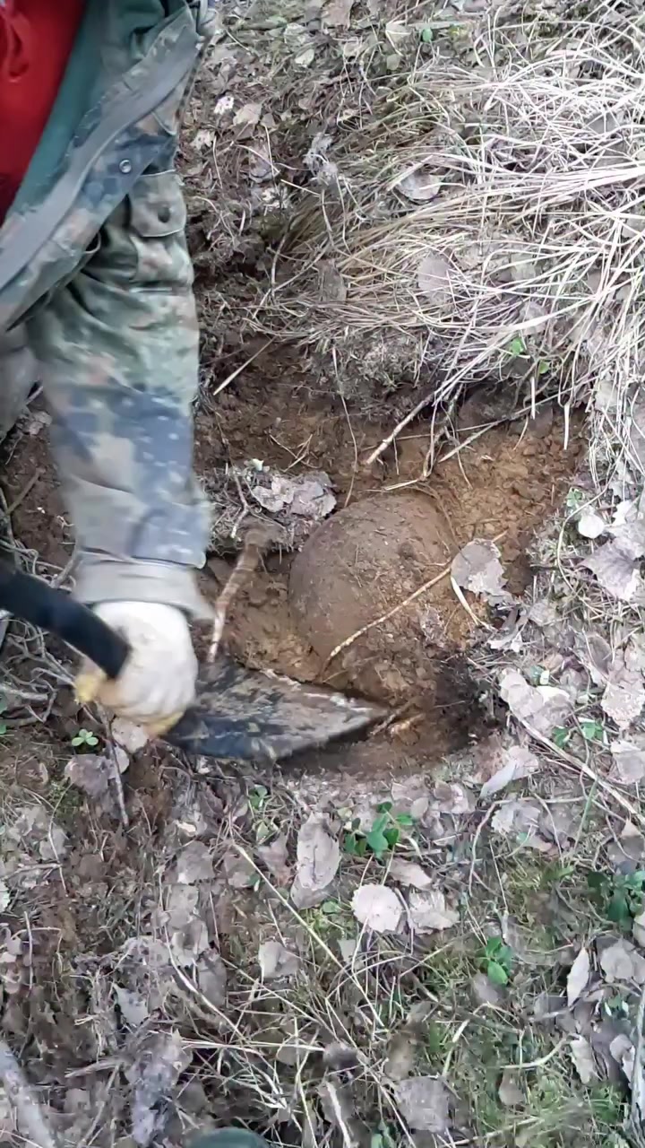 @Archaeologist 11