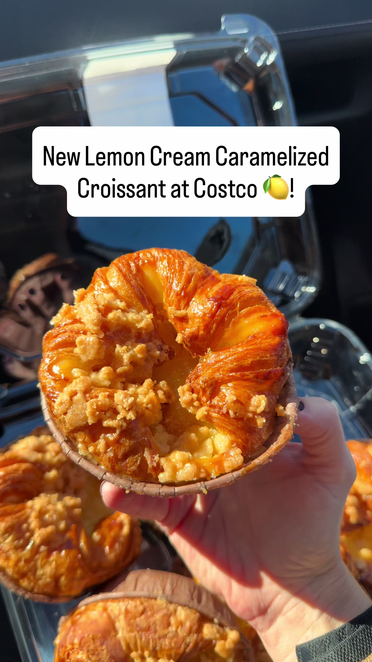 @CostcoHotFinds