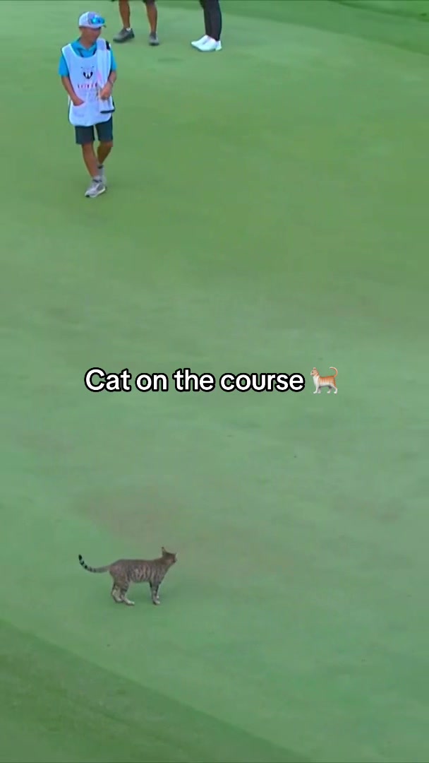 @LPGA