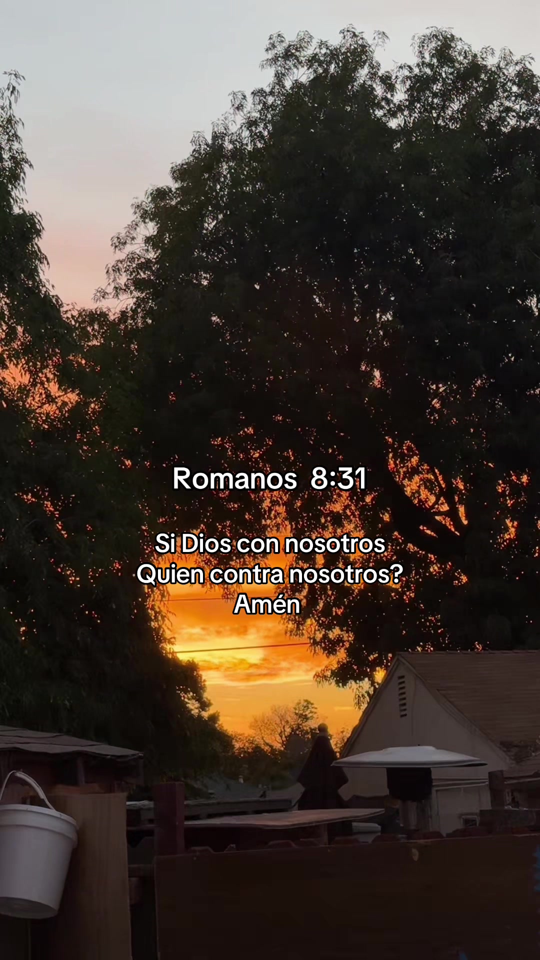 @MeyRodas07🫧🦋