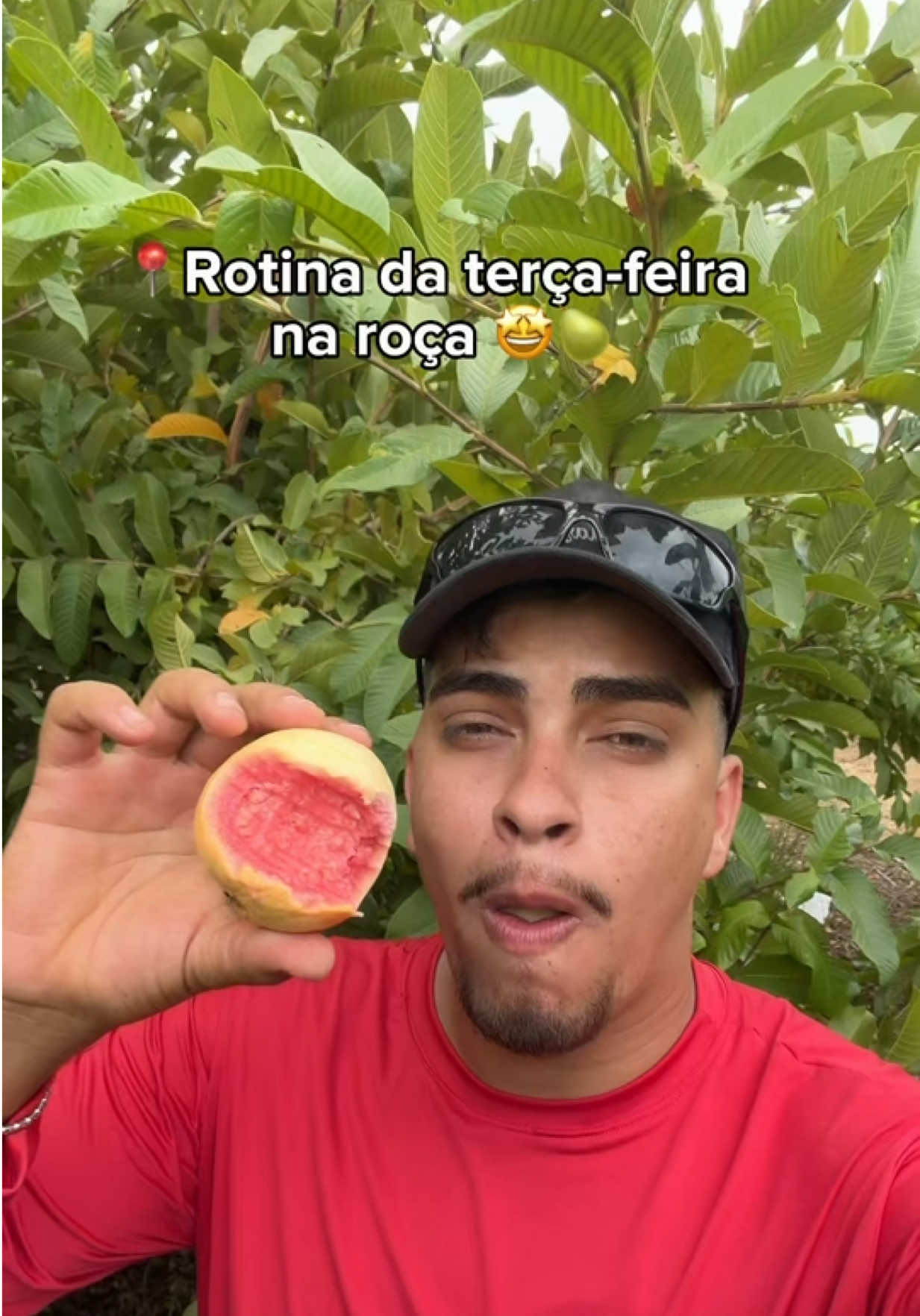 @Rafael Mello