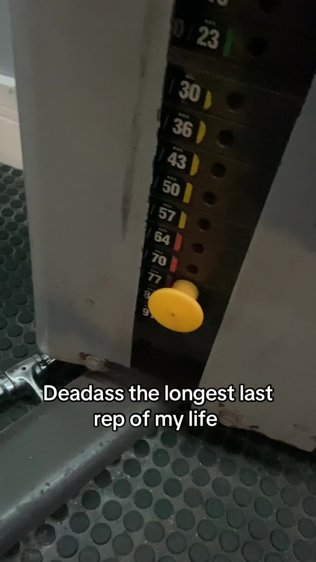 @Jacks Fitness