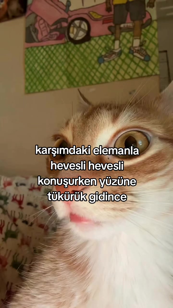 @rolland