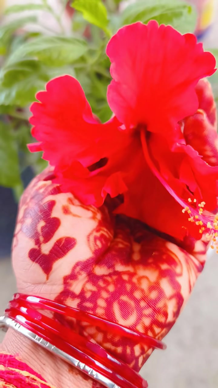 @Rita Pradip Rauniyar