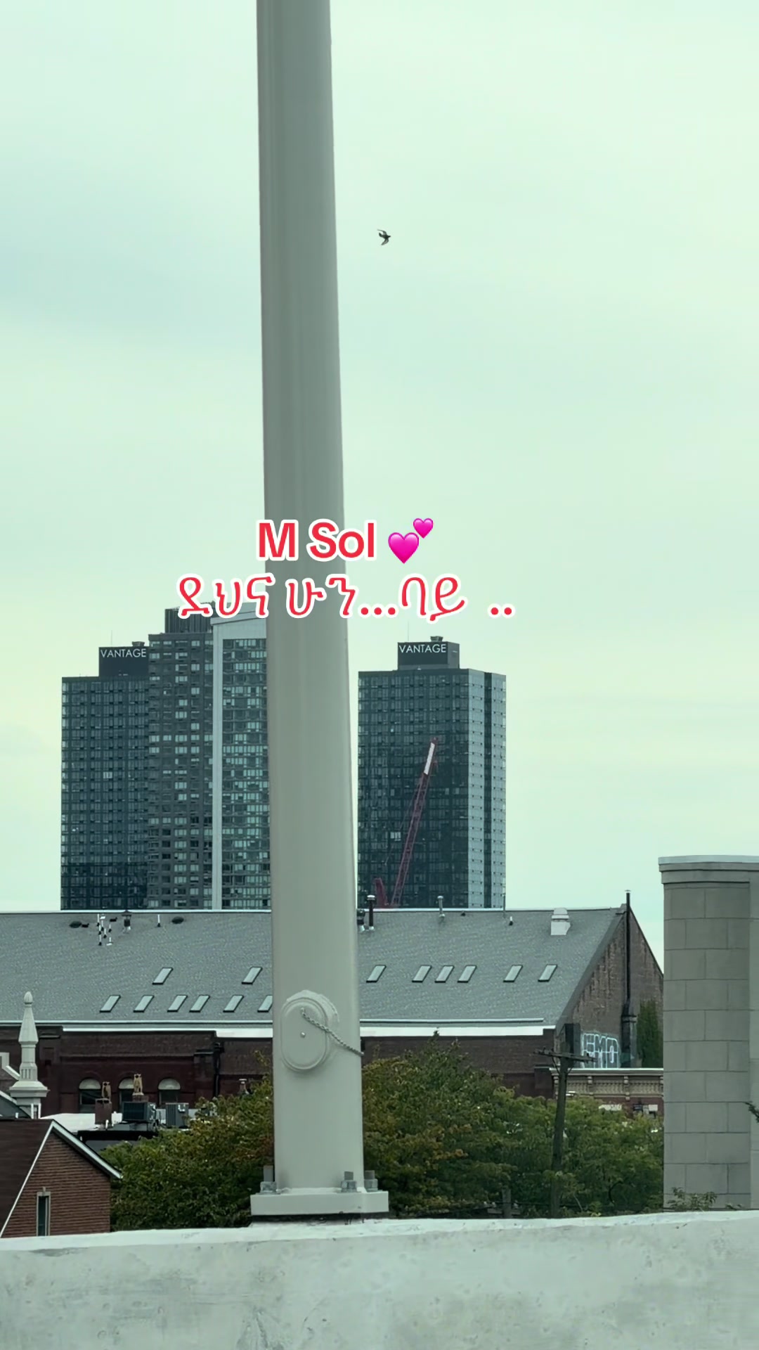 @M sol