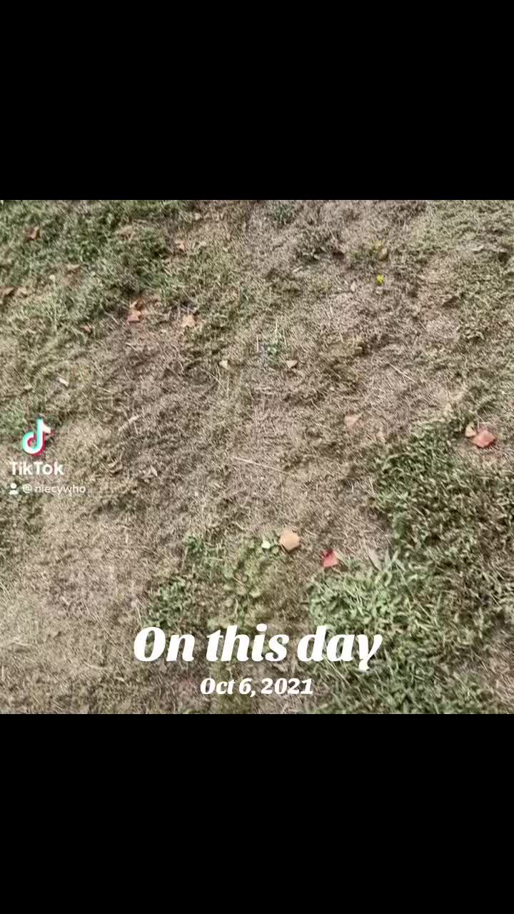 @niecywhat