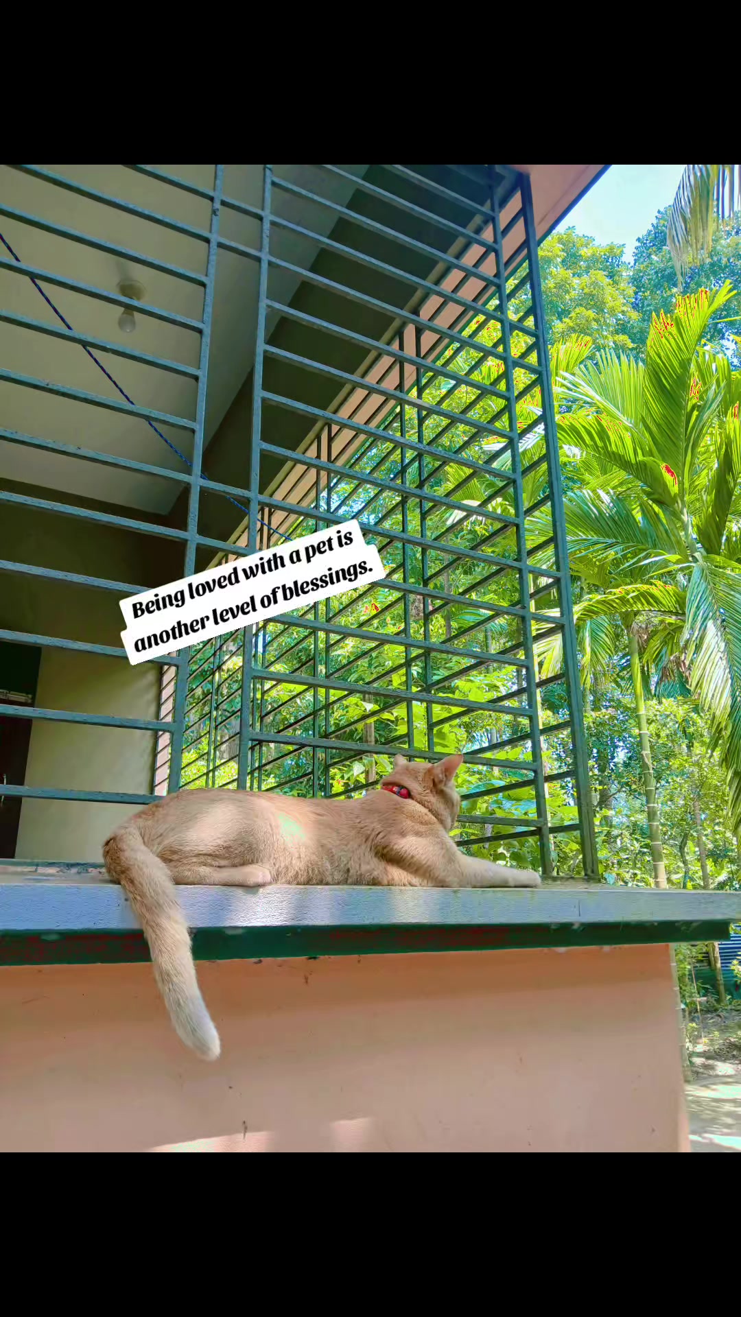 @Mon