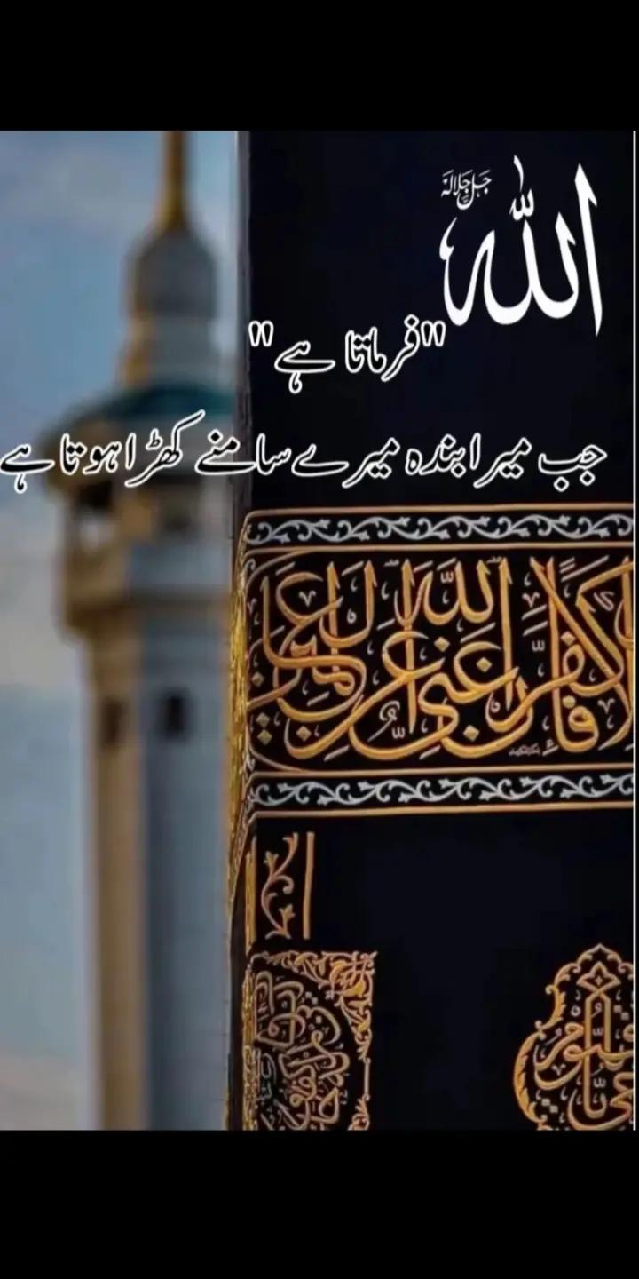 @user35012371301162 Aaya333