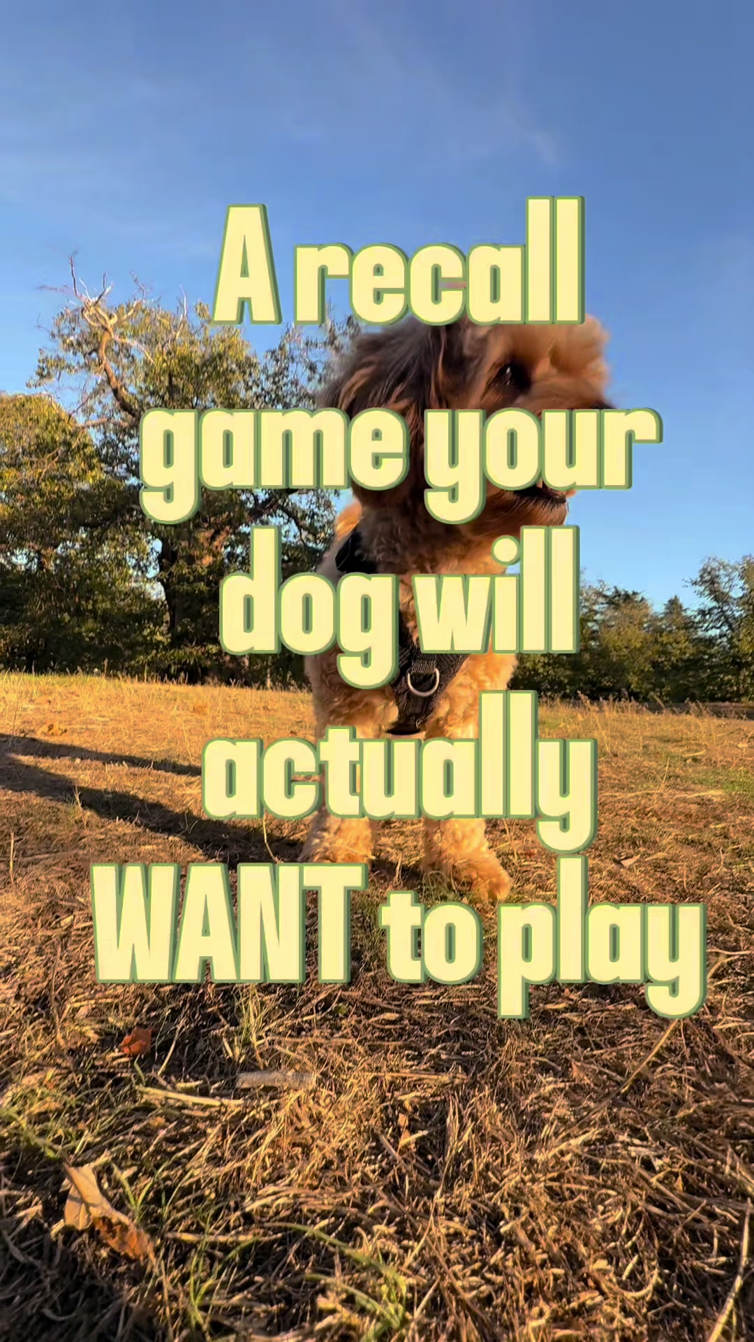 @MilneandMutt
