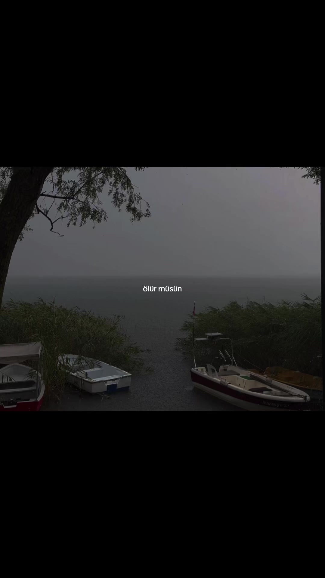 @lyricays