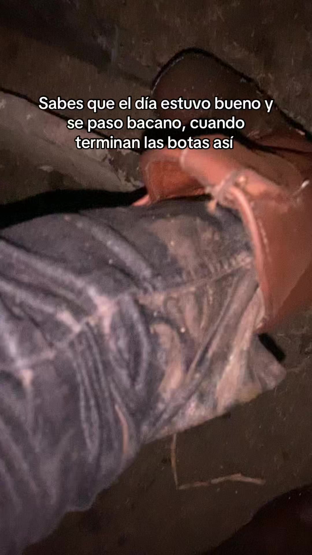 @EL RAMIREZ RZ OFICIAL🐴🇨🇴