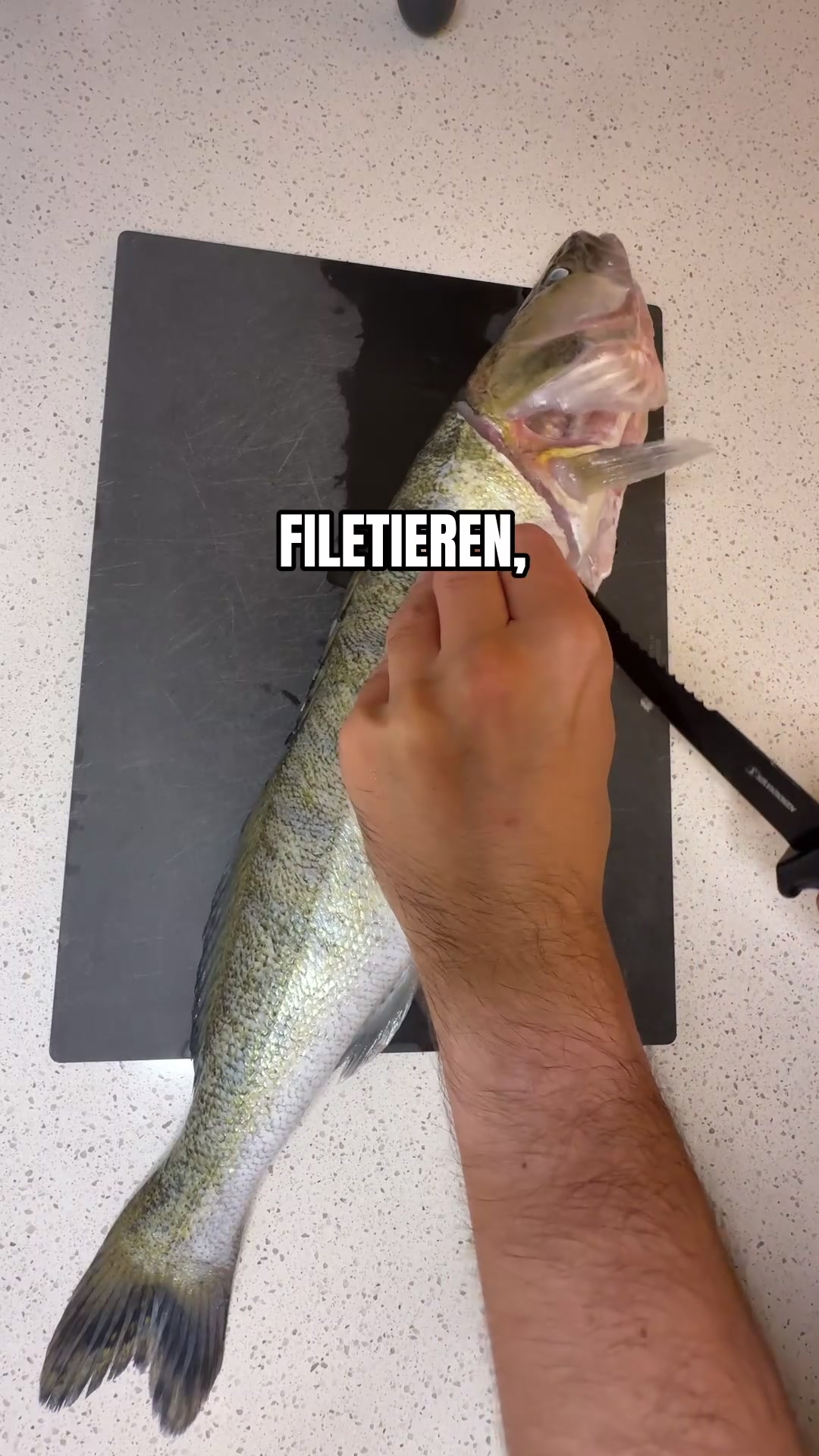 @Fischbulette