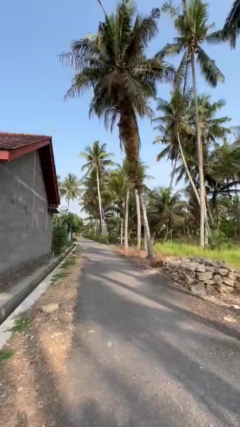 @Tiyang jogja