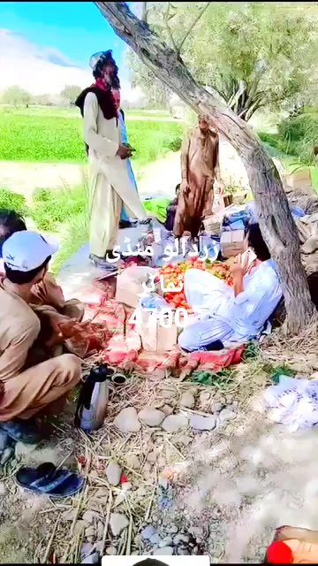 @Abdul Malik Kakar 2215