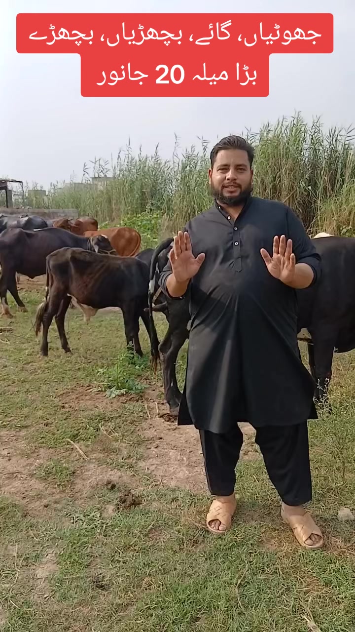 @Farming and Business Ideas