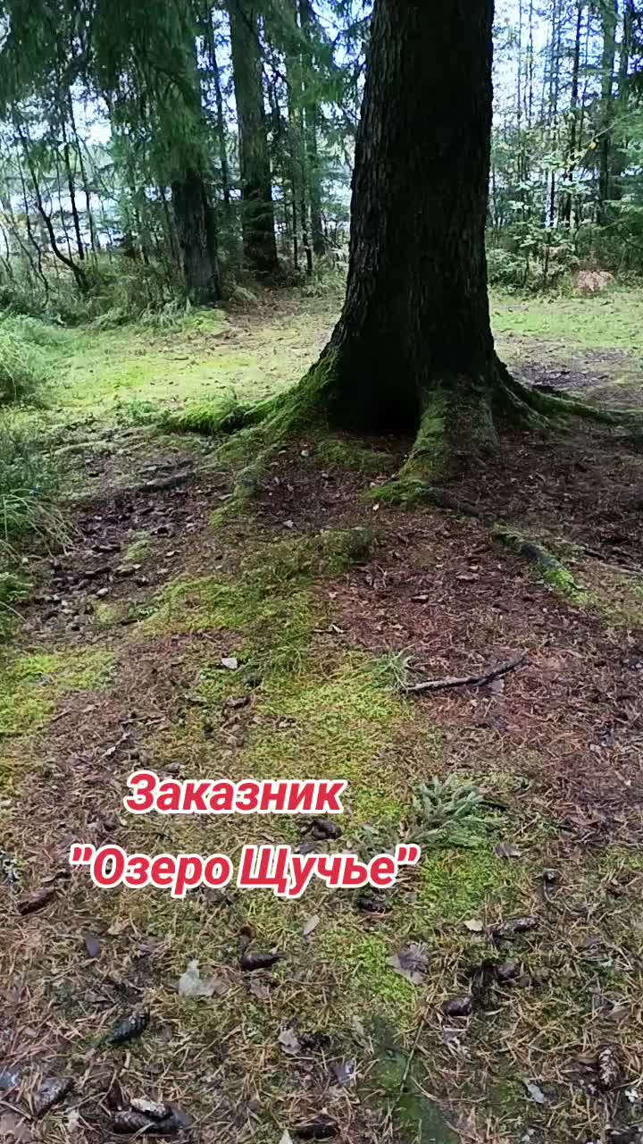 @user2278096979685