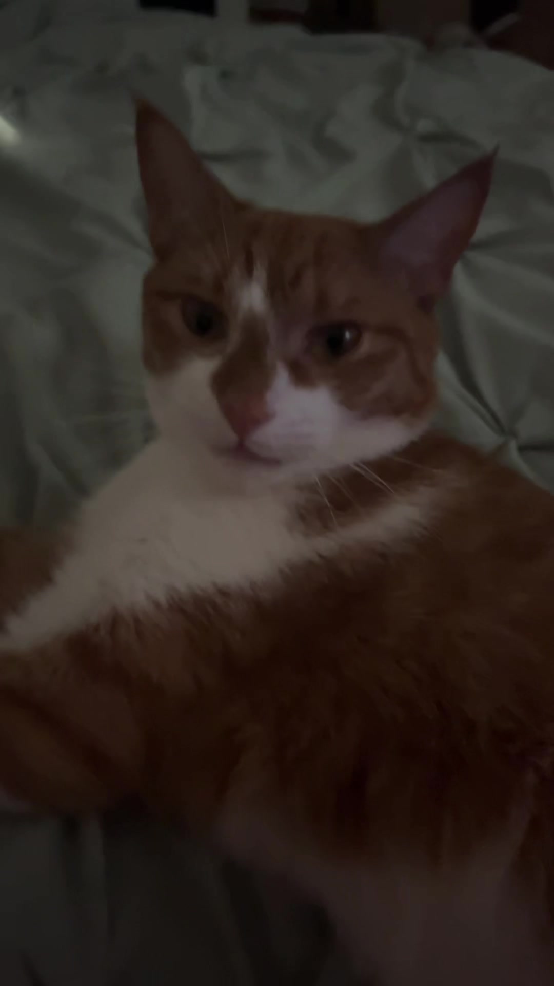 @jadaaxbtw