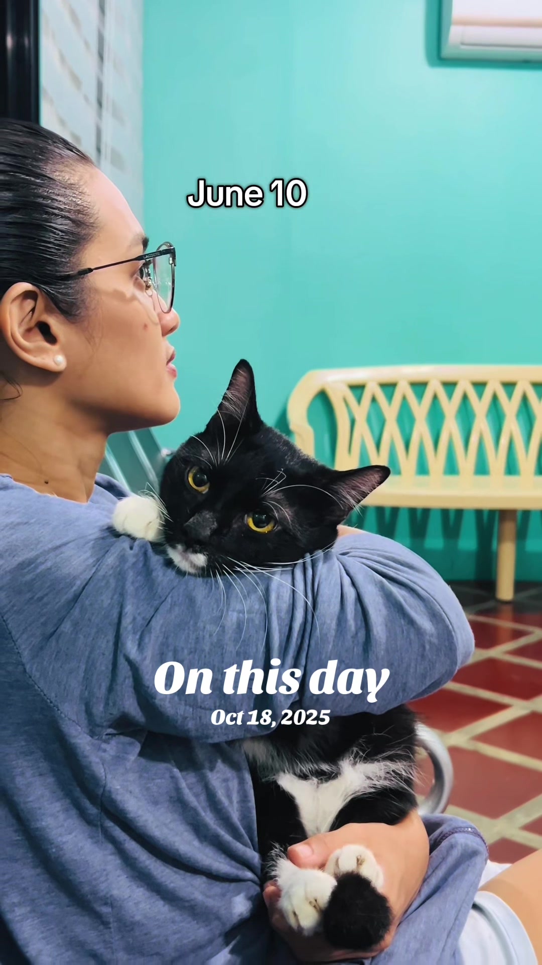 @17meows