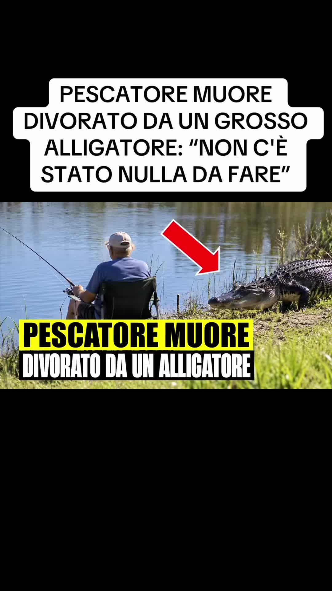 @flashtv_notizie