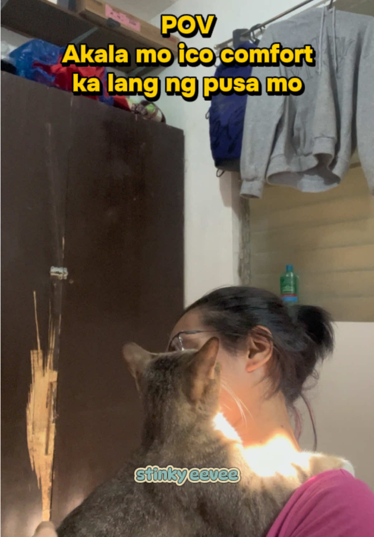 @17meows
