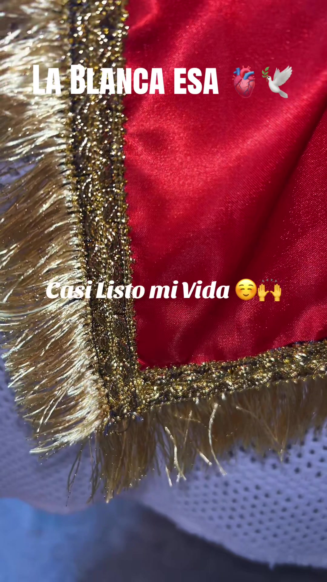 @Lacasadeeggun🤍🖤