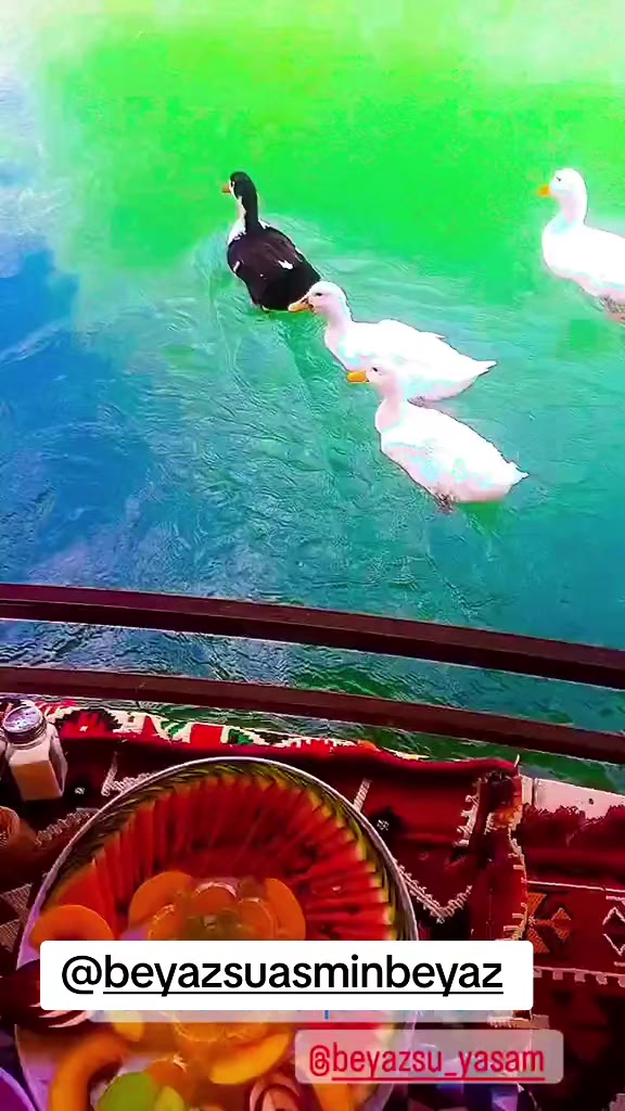 @BEYAZSU_YAŞAM