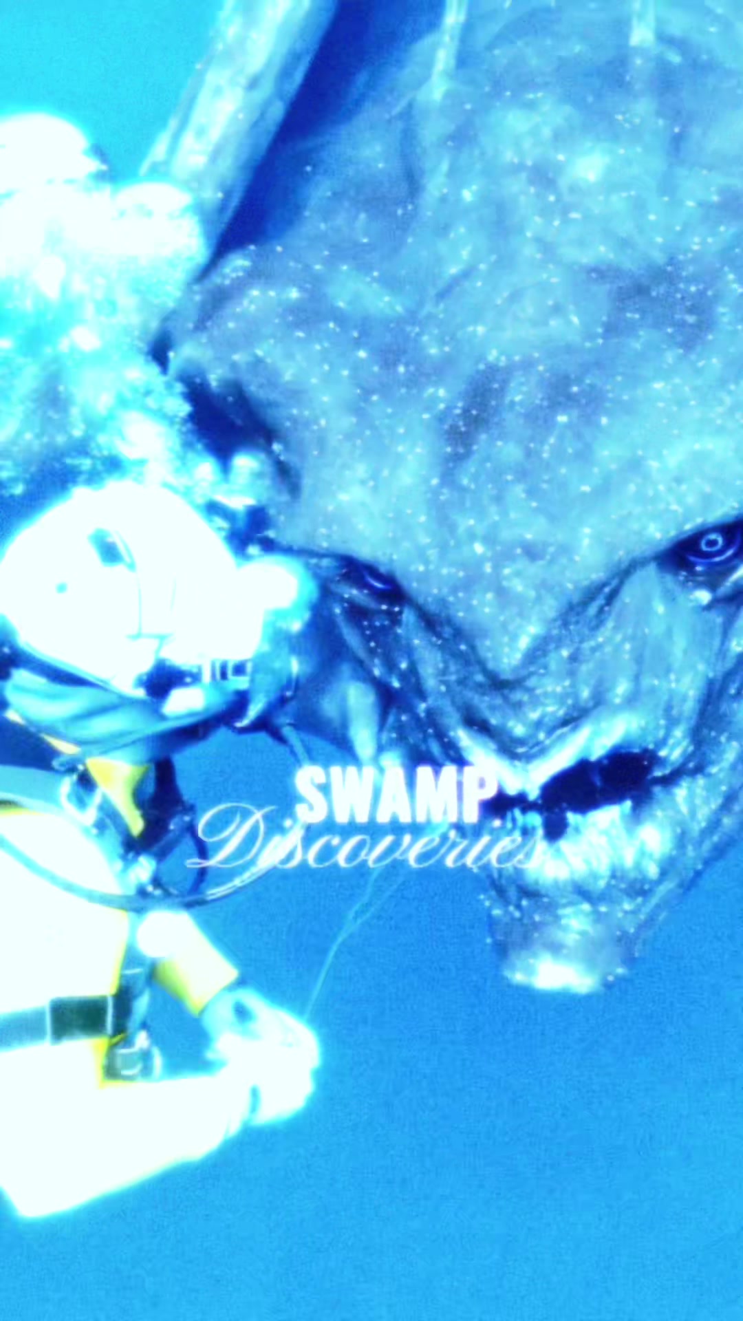 @SwampDiscoveries