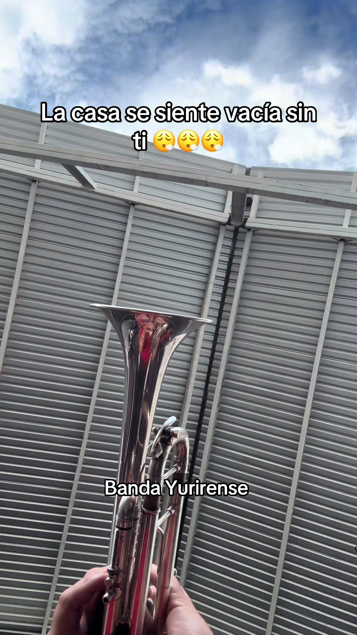 @Luisin Lpz-Trumpet