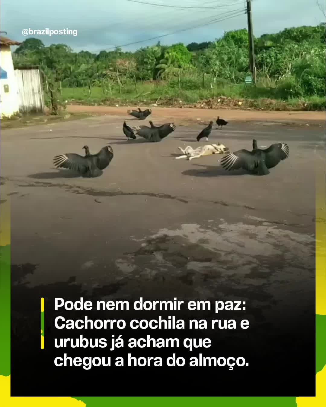 @Brazil Posting