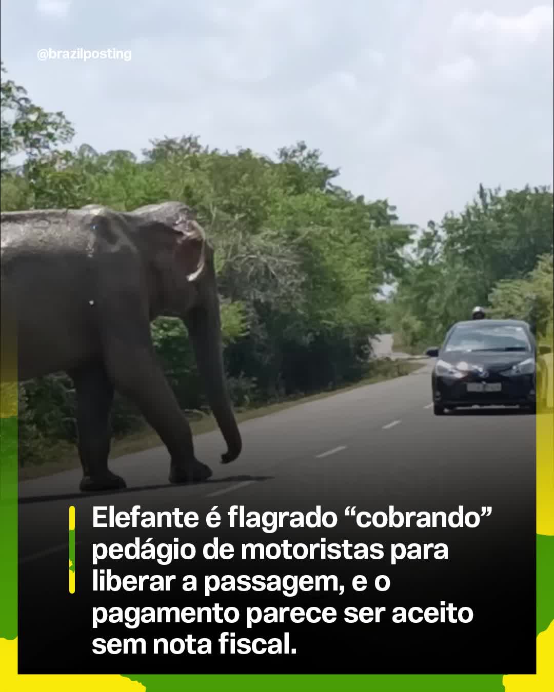 @Brazil Posting