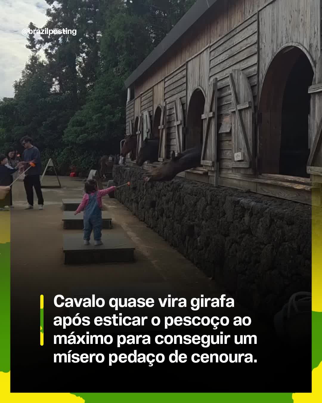 @Brazil Posting