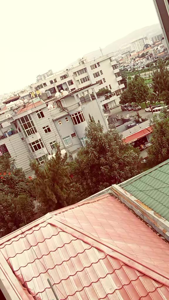 @Samri ጋል ትግራይ👸🇨🇳