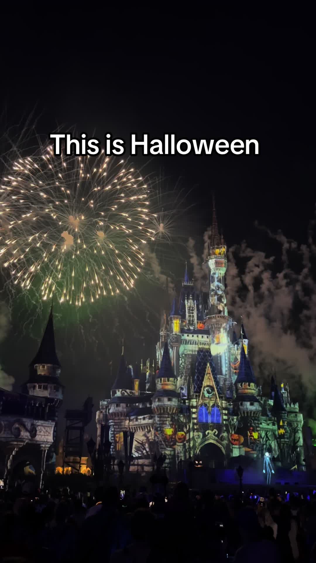 @Orlando Experience