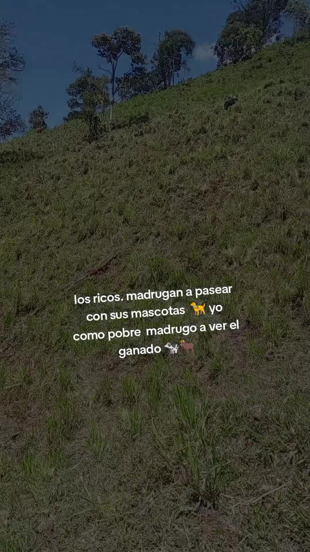 @ZOBEYDAPOMITA